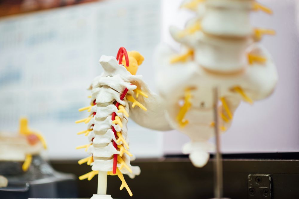 Spinal stenose  årsaker, symptomer og behandling